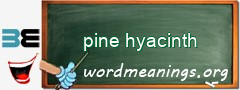 WordMeaning blackboard for pine hyacinth